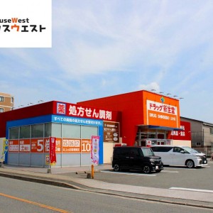 ドラッグ新生堂 土井店