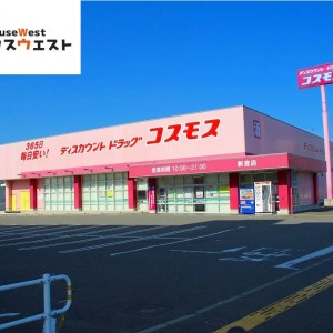 ディスカウントドラッグコスモス 新宮店