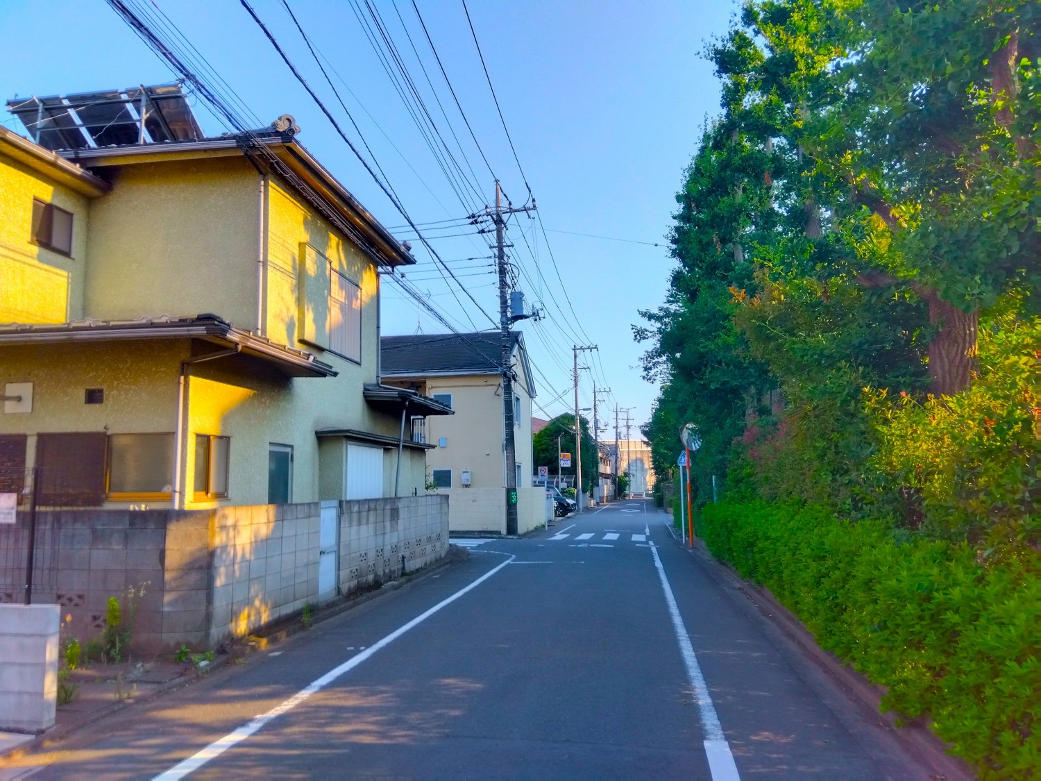 前面道路