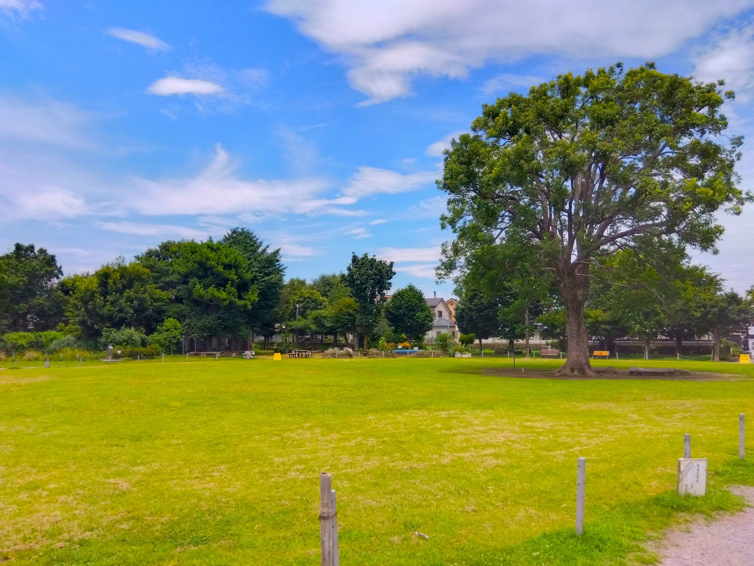 前原公園まで850ｍ(11分)