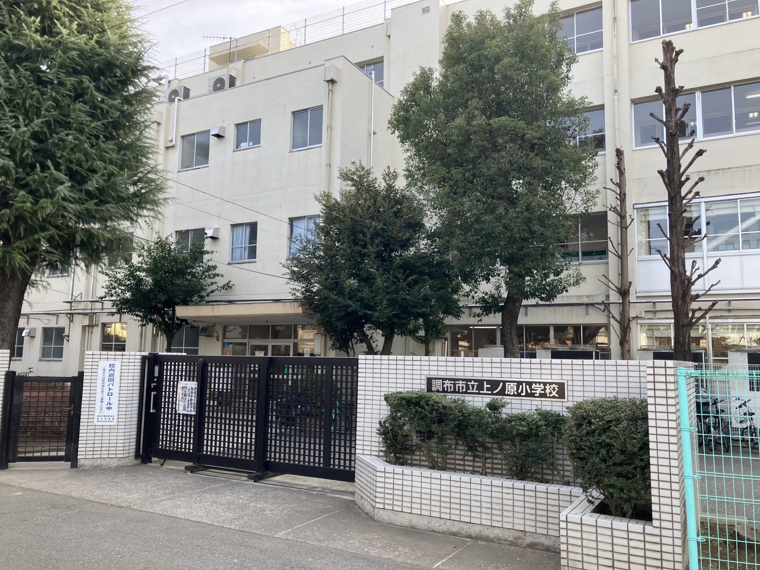調布市立上ノ原小学校　80ｍ