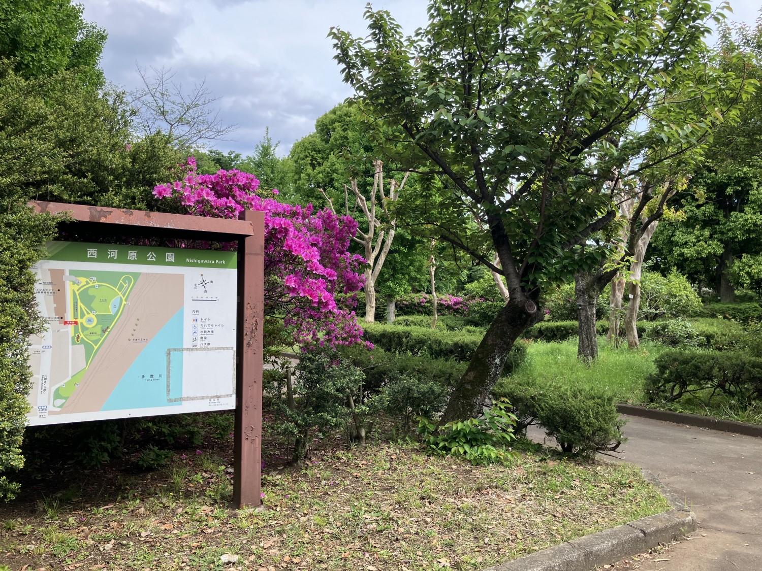 西河原公園　21ｍ