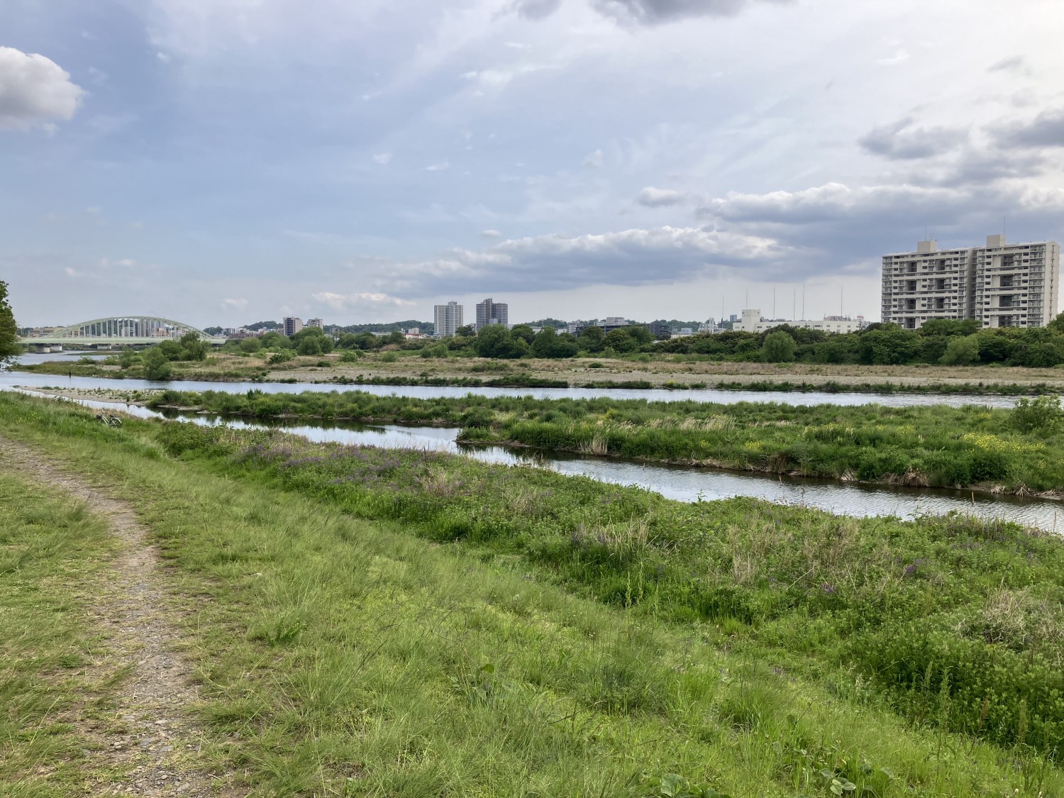 多摩川　250ｍ
