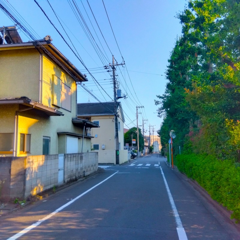 前面道路