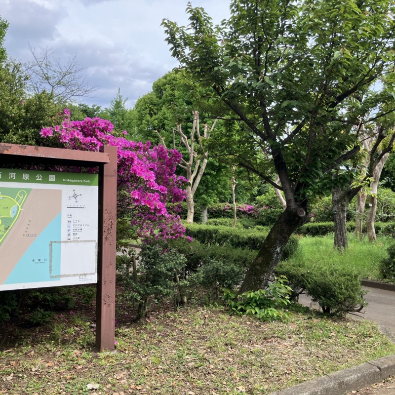 西河原公園　21ｍ