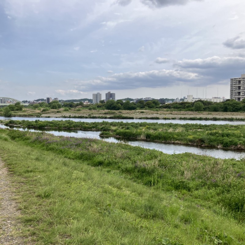 多摩川　250ｍ