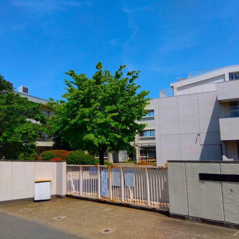 狛江市立狛江第一中学校　550ｍ