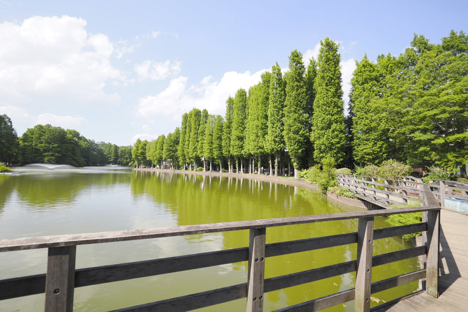 ＜別所沼公園内児童広場＞ 遊具が充実しています。 年齢別にエリアが分かれているため、小さいお子様も安全に楽しく遊べます。