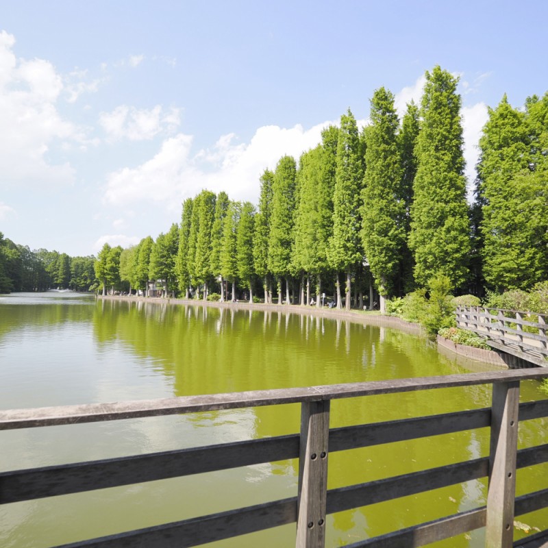 ＜別所沼公園内児童広場＞ 遊具が充実しています。 年齢別にエリアが分かれているため、小さいお子様も安全に楽しく遊べます。