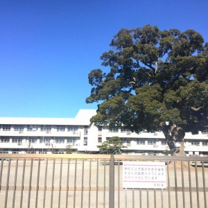 相模原市立新磯小学校