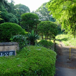 当麻山公園